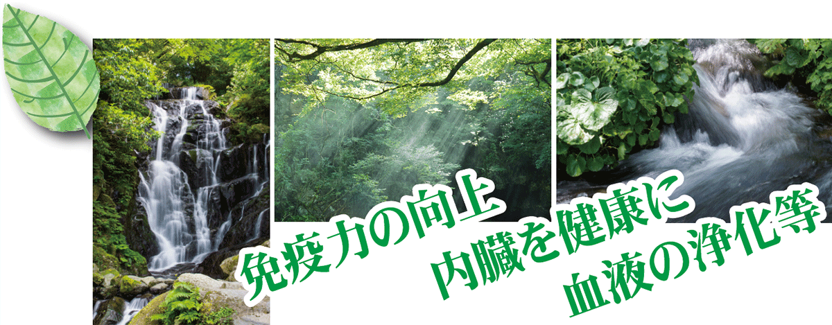 j.air 新型「空間」清浄器